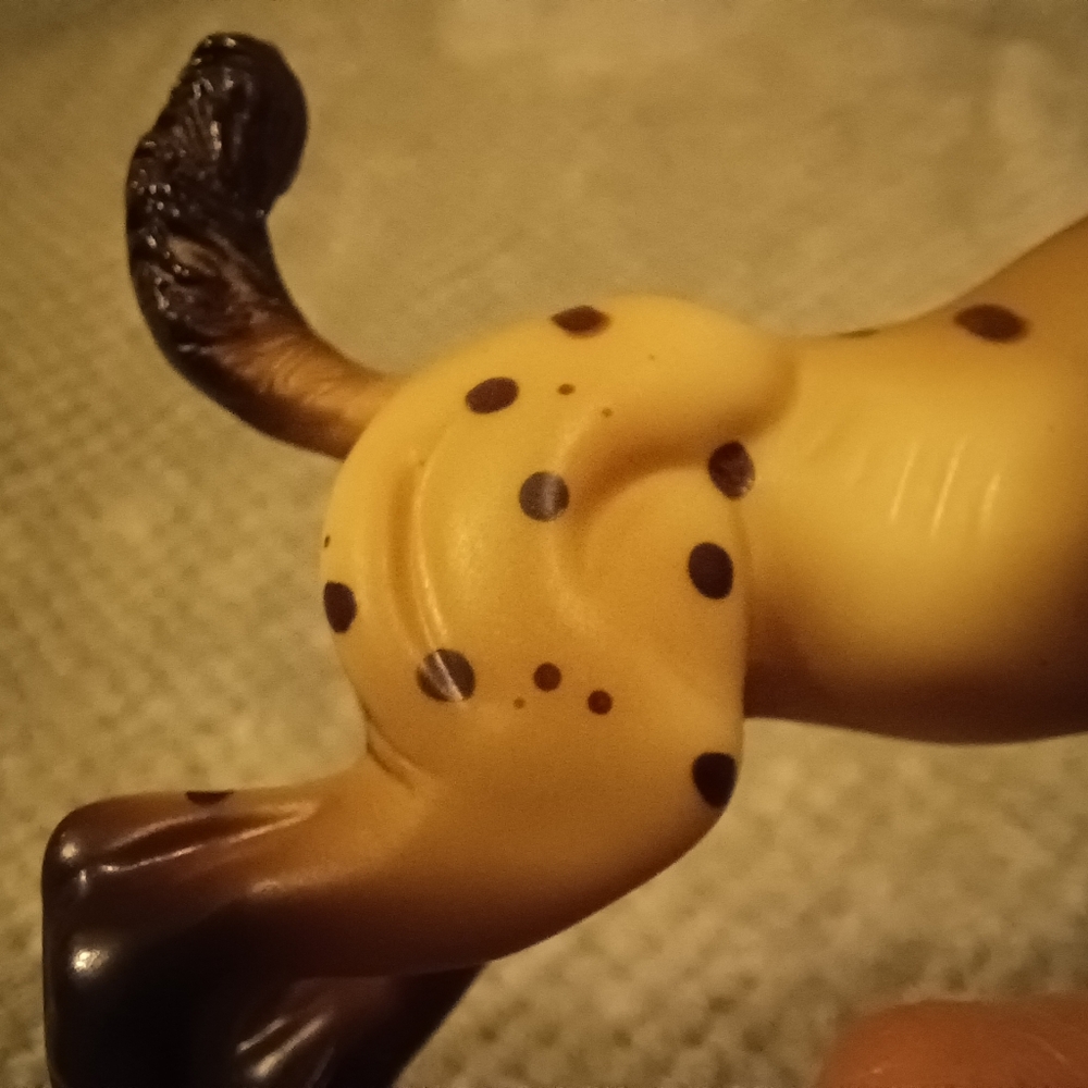 Breyer Dakotah - Picture 11 of 15
